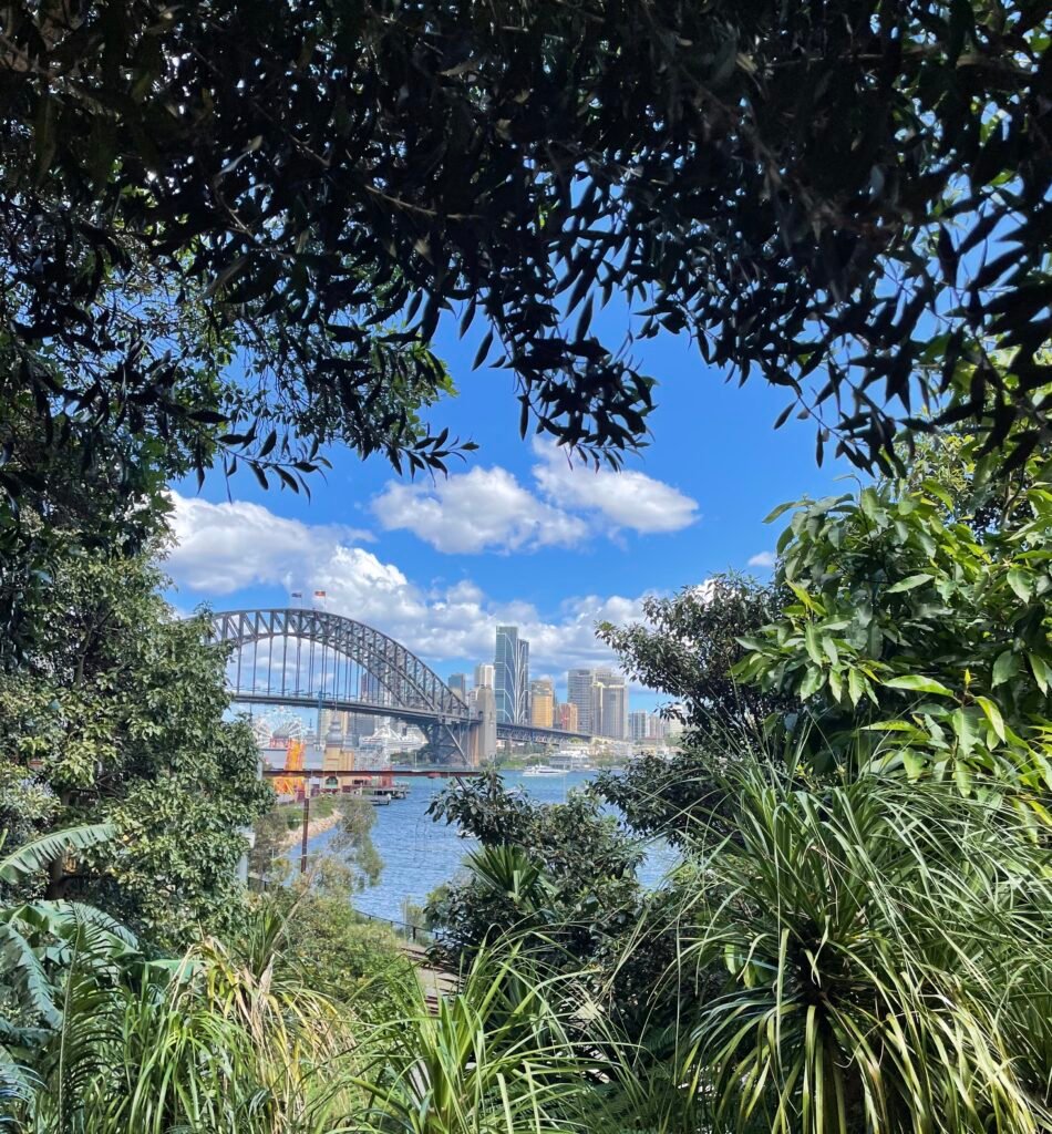 Sydney Harbour Bridge view from park.