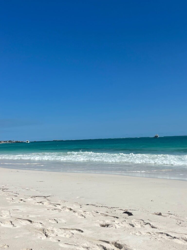 Lancelin Beach, Western Australia