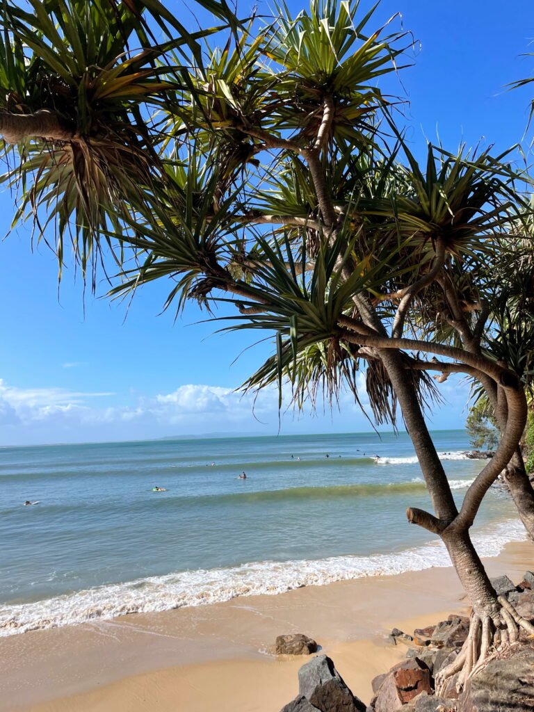 Noosa Heads Main Beach surfers, waves and palmtrees.